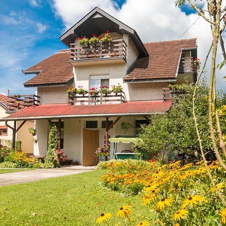Drina - Bajina Basta Hotel Ngoại thất bức ảnh