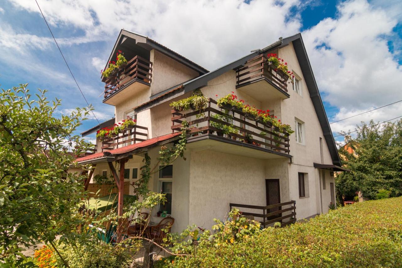 Drina - Bajina Basta Hotel Ngoại thất bức ảnh