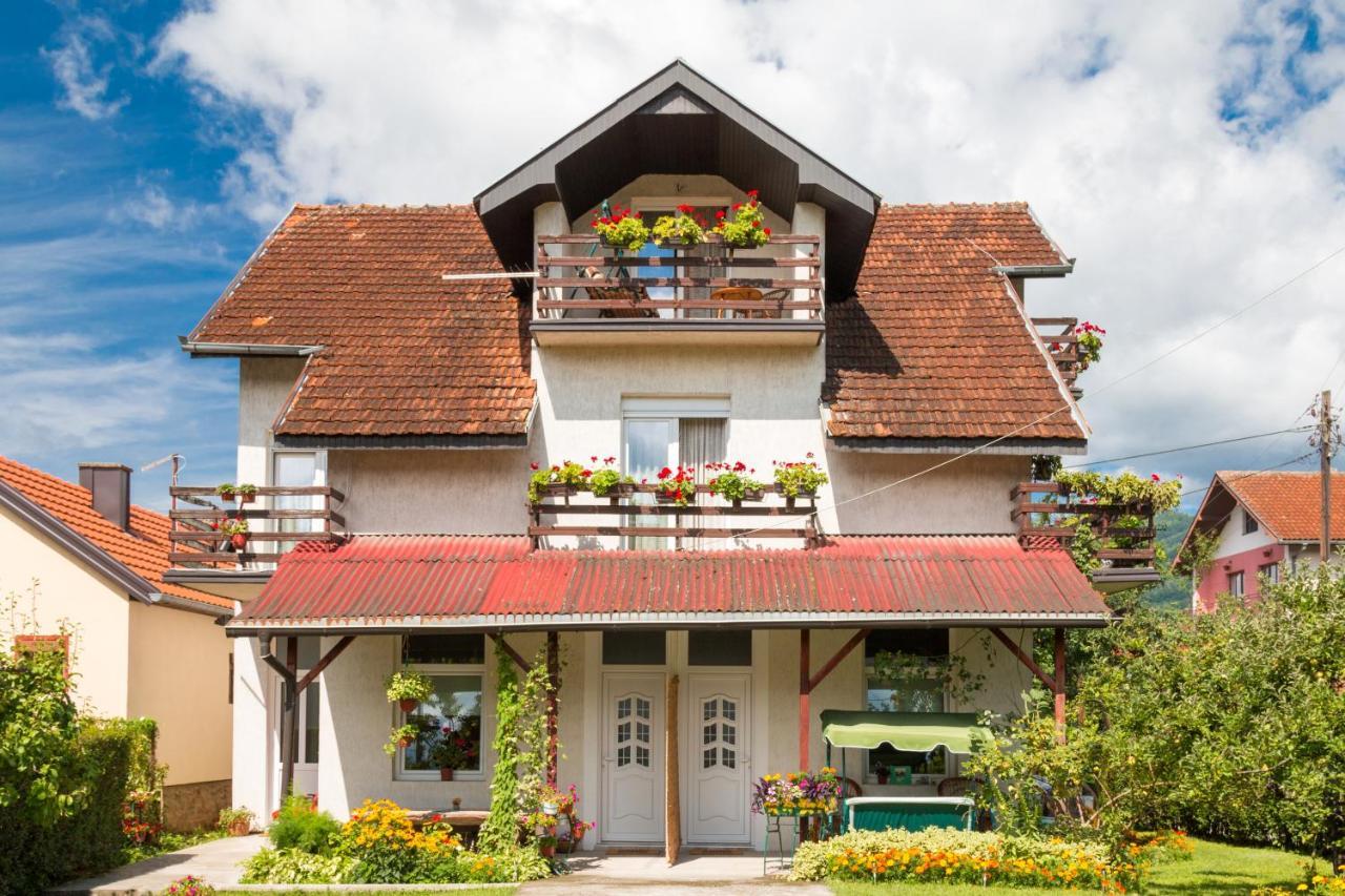 Drina - Bajina Basta Hotel Ngoại thất bức ảnh