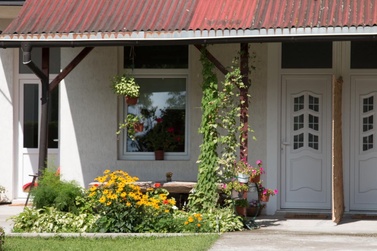 Drina - Bajina Basta Hotel Ngoại thất bức ảnh