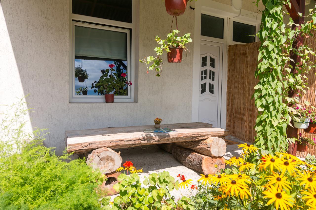 Drina - Bajina Basta Hotel Ngoại thất bức ảnh